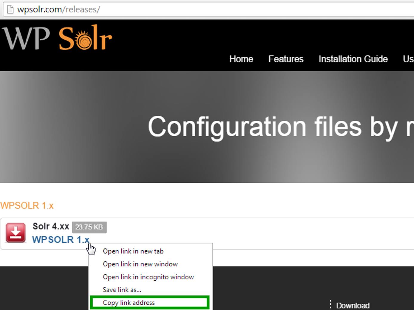 WPSolr Configuration Download WPSolr Configuration Download